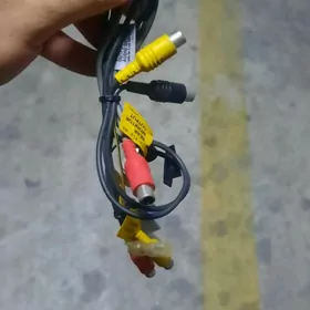 stekir pioneer caruzeria