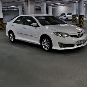 Toyota Camry 2013
