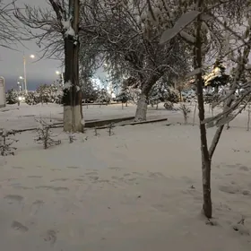 3-хкомн 533 квартал