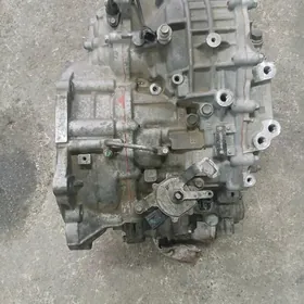 Elantra wariyator karapka 2019