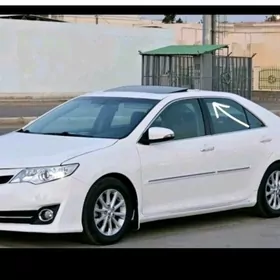 16 lik diska haliji palta