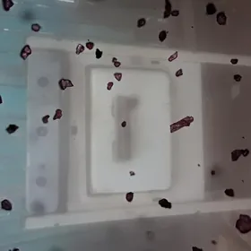 Газ плита запчаста