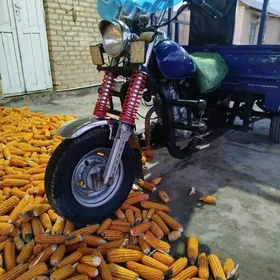 Fekon FK200-14G 2012