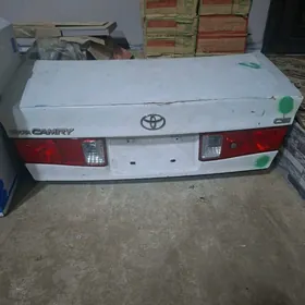 Babcga bagaz morda kesilmedik