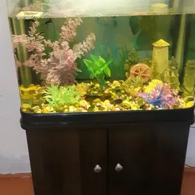 аквариум заводской