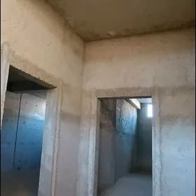 Anew gos proýekt Koteź korobka