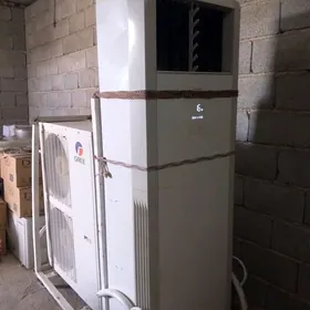 palata salyk kondisenor kansin