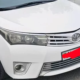 Kapot Bamper Krilo Fara