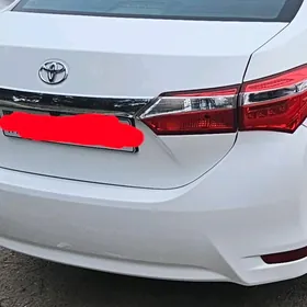 Bagaj Bamper Cyralar