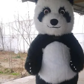 Myşga panda