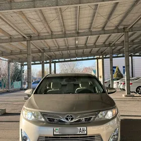 Toyota Camry 2013