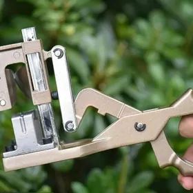 Agaç sapýan gaýçy (Sekator)