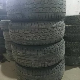 265.65.17.lik. bezkamir