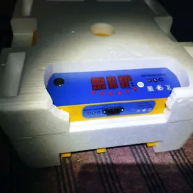 Inkubator 56 ýumurtgalyk