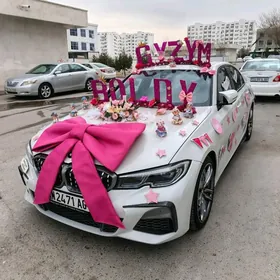 MASYN BEZEG.  OY BEZEG TOY PAY