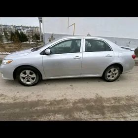 Toyota Corolla 2010