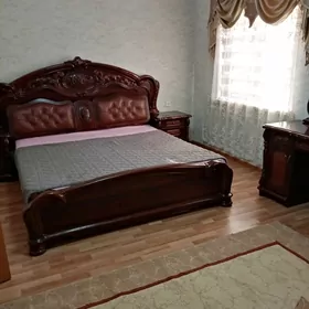 Arenda Jay.Arenda jay