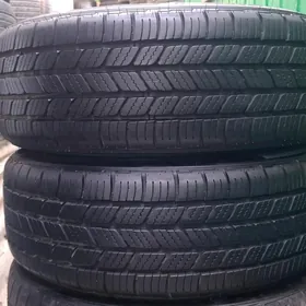 205-55-16 bridgeston 2025