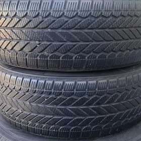 205-55-16 bridgeston 2023