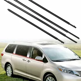 Siyena ayna plasmasy 2013.2020