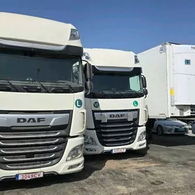 DAF 480 2020