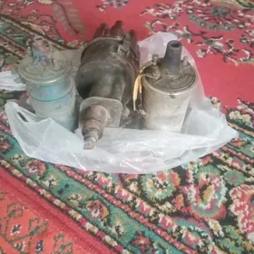 53 atâçlik şaÿlary