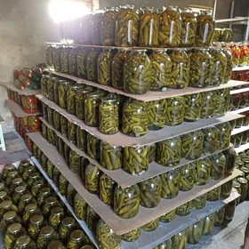 СОЛЕНЫЕ SALÝONYÝ