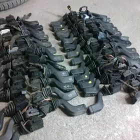 Pawarotnik kulçater mordañky