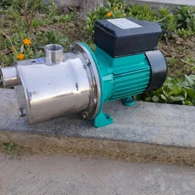 Shimge nasos suyt we suw