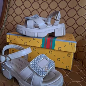 krasowka tulip basanoska