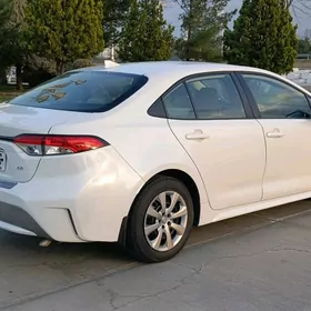 Toyota Corolla 2021