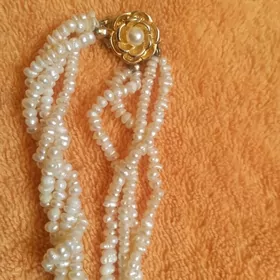 Жемчек монжиклар