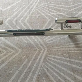 задняя дуга