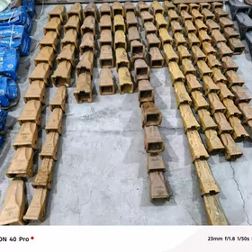 Ekiskawator kowus disleri