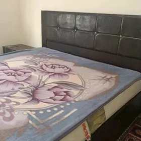 Arenda jay  30 mkr 2 kom