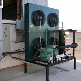 ️Arenda Morozilnik