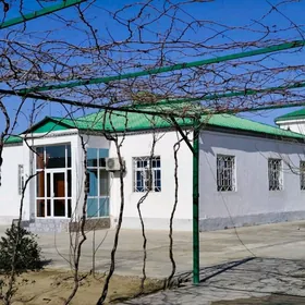 Taze Zaman Plan jay 1 tapgry