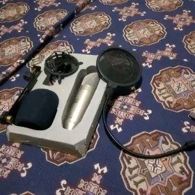 ses kart m-audio mikrafon