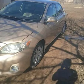 Toyota Corolla 2011