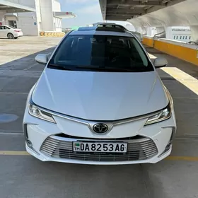 Toyota Corolla 2023