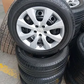 karola 16 lik diska pakriska