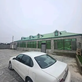 satlyk yarajy baherden ferma