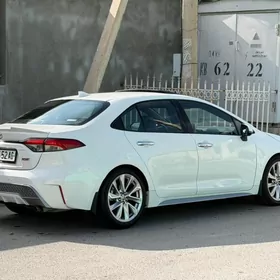 Toyota Corolla 2021