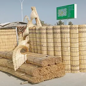 Gamyş Гамыш AK öý garöy Tüýnük