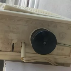 stabizator rasiski  kampýutyry