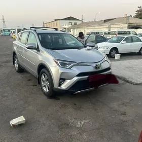 Toyota RAV4 2016