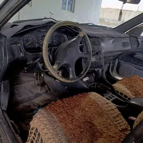 Corona tarpeda 95 yyl