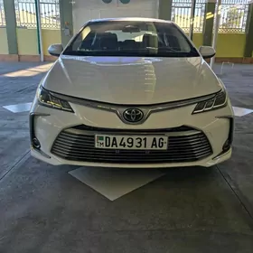 Toyota Corolla 2024