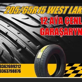 GARAŞARYNA❗TEKER 205/65R15