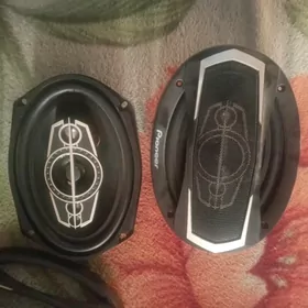 Пионер калонки